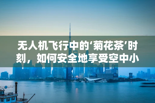 无人机飞行中的‘菊花茶’时刻，如何安全地享受空中小憩？
