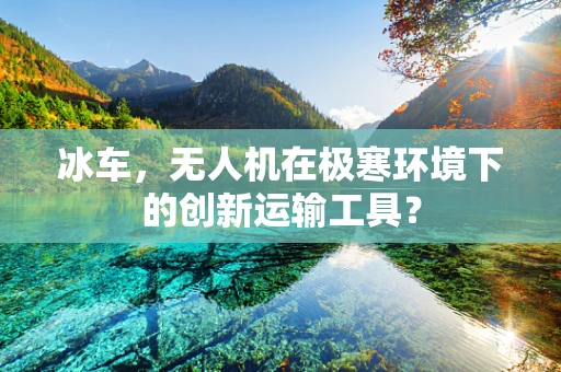 冰车，无人机在极寒环境下的创新运输工具？