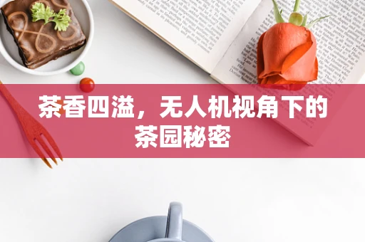 茶香四溢，无人机视角下的茶园秘密