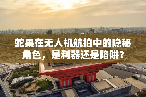 蛇果在无人机航拍中的隐秘角色，是利器还是陷阱？