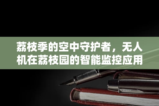 荔枝季的空中守护者，无人机在荔枝园的智能监控应用