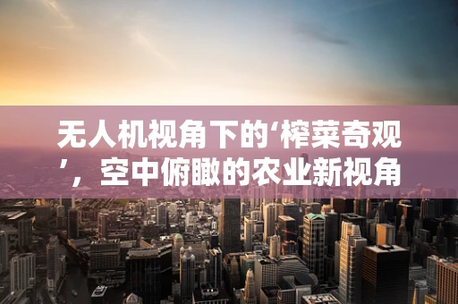 无人机视角下的‘榨菜奇观’，空中俯瞰的农业新视角