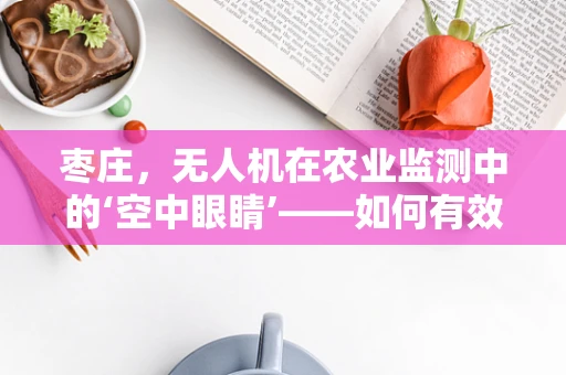 枣庄，无人机在农业监测中的‘空中眼睛’——如何有效利用无人机技术提升农业生产效率？