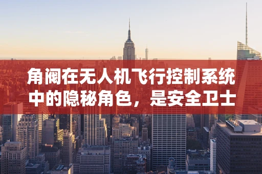 角阀在无人机飞行控制系统中的隐秘角色，是安全卫士还是性能加速器？