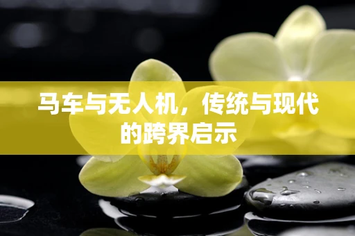 马车与无人机，传统与现代的跨界启示