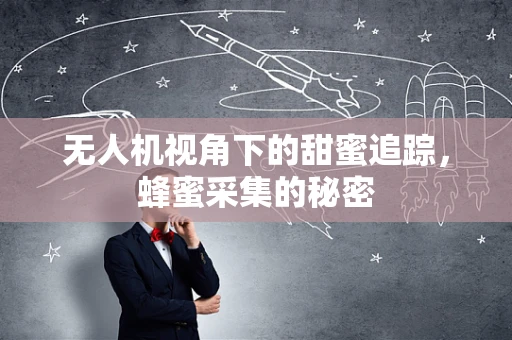 无人机视角下的甜蜜追踪，蜂蜜采集的秘密
