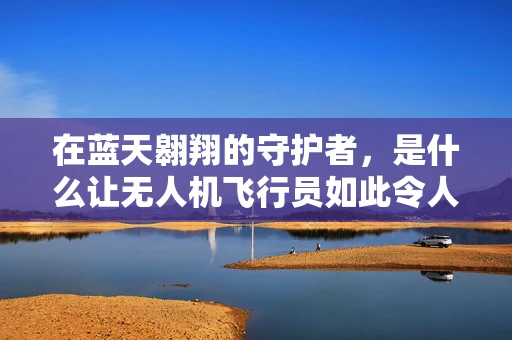 在蓝天翱翔的守护者，是什么让无人机飞行员如此令人敬佩？