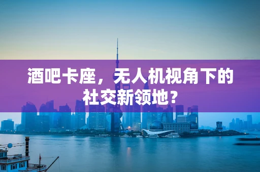 酒吧卡座，无人机视角下的社交新领地？
