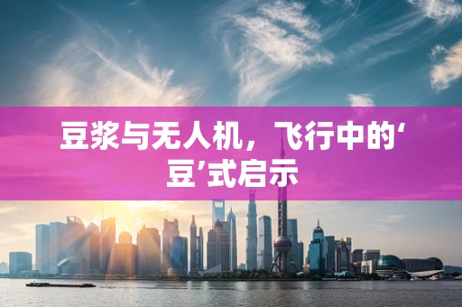 豆浆与无人机，飞行中的‘豆’式启示