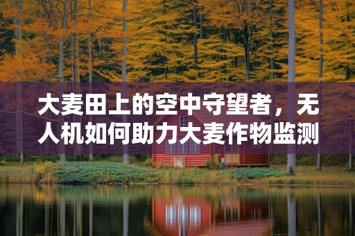 大麦田上的空中守望者，无人机如何助力大麦作物监测？