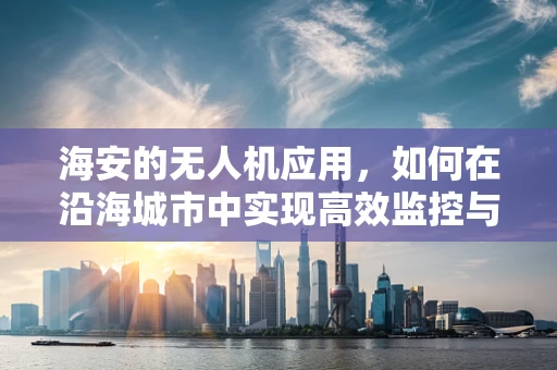 海安的无人机应用，如何在沿海城市中实现高效监控与救援？
