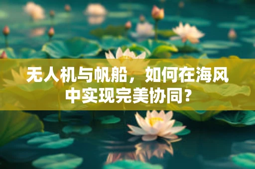 无人机与帆船，如何在海风中实现完美协同？