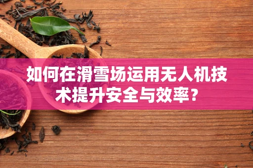 如何在滑雪场运用无人机技术提升安全与效率？
