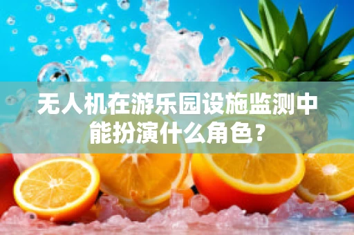 无人机在游乐园设施监测中能扮演什么角色？