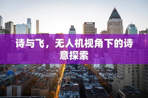 诗与飞，无人机视角下的诗意探索