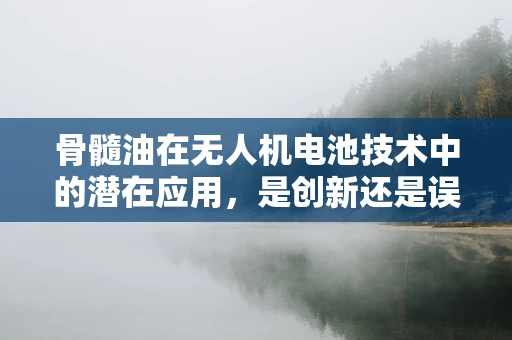 骨髓油在无人机电池技术中的潜在应用，是创新还是误区？