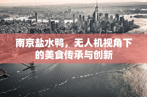 南京盐水鸭，无人机视角下的美食传承与创新