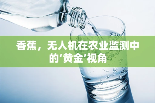 香蕉，无人机在农业监测中的‘黄金’视角