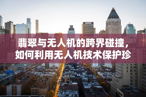 翡翠与无人机的跨界碰撞，如何利用无人机技术保护珍贵的翡翠矿区？