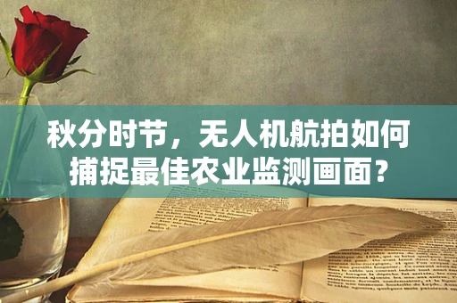 秋分时节，无人机航拍如何捕捉最佳农业监测画面？