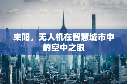 耒阳，无人机在智慧城市中的空中之眼