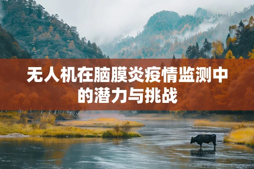 无人机在脑膜炎疫情监测中的潜力与挑战