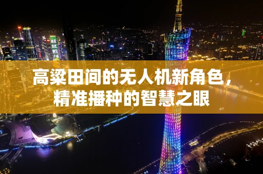 高粱田间的无人机新角色，精准播种的智慧之眼
