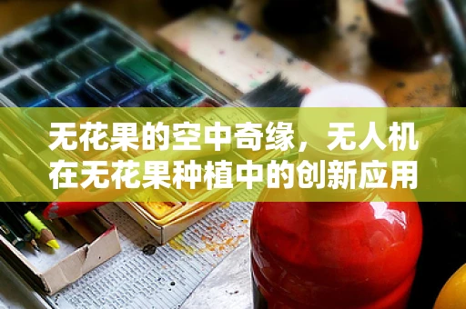 无花果的空中奇缘，无人机在无花果种植中的创新应用？