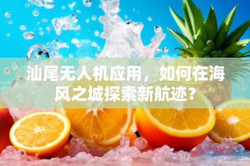 汕尾无人机应用，如何在海风之城探索新航迹？