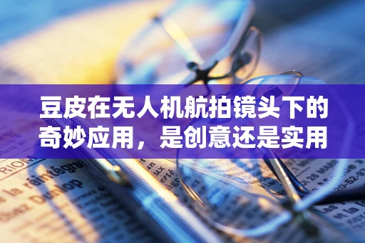 豆皮在无人机航拍镜头下的奇妙应用，是创意还是实用？