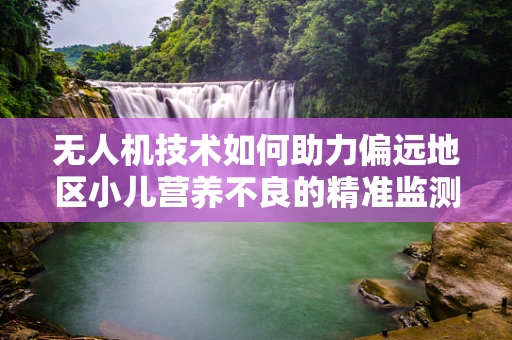 无人机技术如何助力偏远地区小儿营养不良的精准监测与干预？