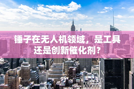 锤子在无人机领域，是工具还是创新催化剂？