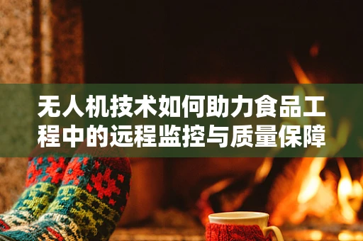 无人机技术如何助力食品工程中的远程监控与质量保障？