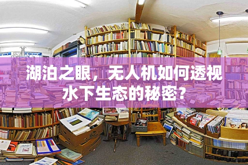 湖泊之眼，无人机如何透视水下生态的秘密？