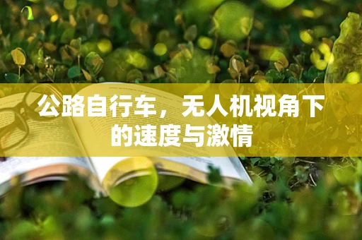 公路自行车，无人机视角下的速度与激情