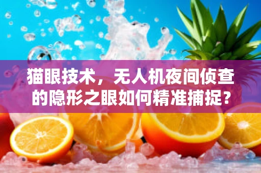 猫眼技术，无人机夜间侦查的隐形之眼如何精准捕捉？