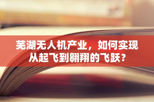 芜湖无人机产业，如何实现从起飞到翱翔的飞跃？