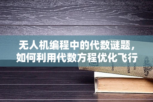 无人机编程中的代数谜题，如何利用代数方程优化飞行路径？