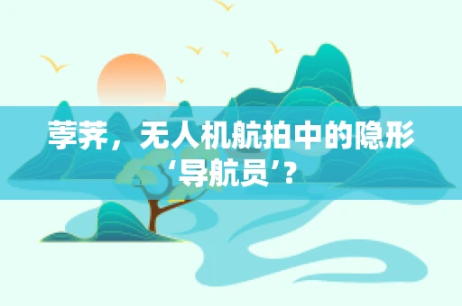 荸荠，无人机航拍中的隐形‘导航员’？