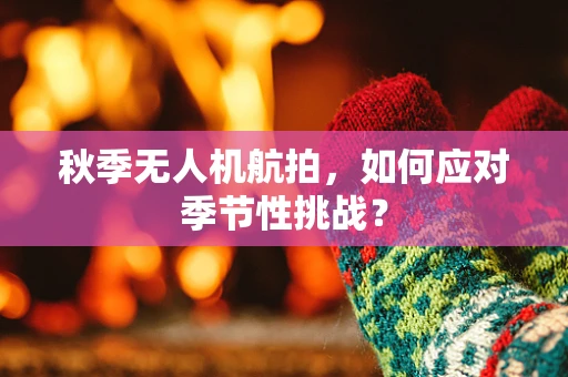 秋季无人机航拍，如何应对季节性挑战？