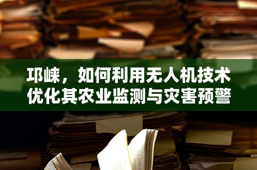 邛崃，如何利用无人机技术优化其农业监测与灾害预警？