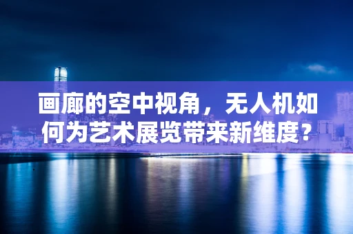 画廊的空中视角，无人机如何为艺术展览带来新维度？