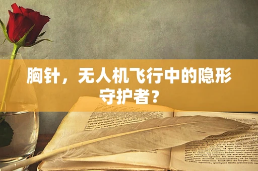 胸针，无人机飞行中的隐形守护者？