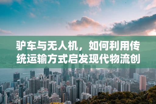 驴车与无人机，如何利用传统运输方式启发现代物流创新？