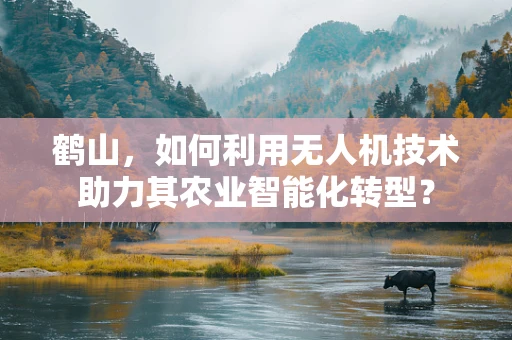 鹤山，如何利用无人机技术助力其农业智能化转型？