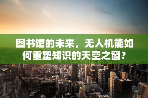 图书馆的未来，无人机能如何重塑知识的天空之窗？