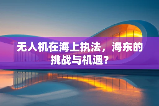 无人机在海上执法，海东的挑战与机遇？