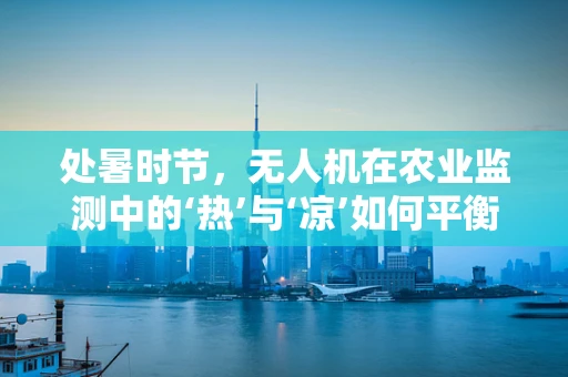 处暑时节，无人机在农业监测中的‘热’与‘凉’如何平衡？
