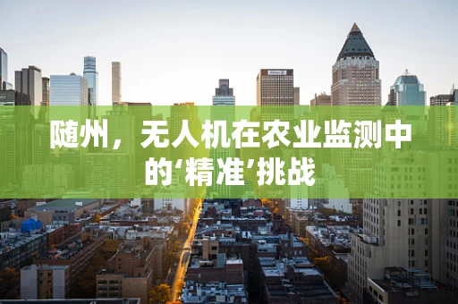 随州，无人机在农业监测中的‘精准’挑战