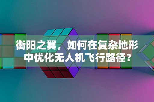 衡阳之翼，如何在复杂地形中优化无人机飞行路径？
